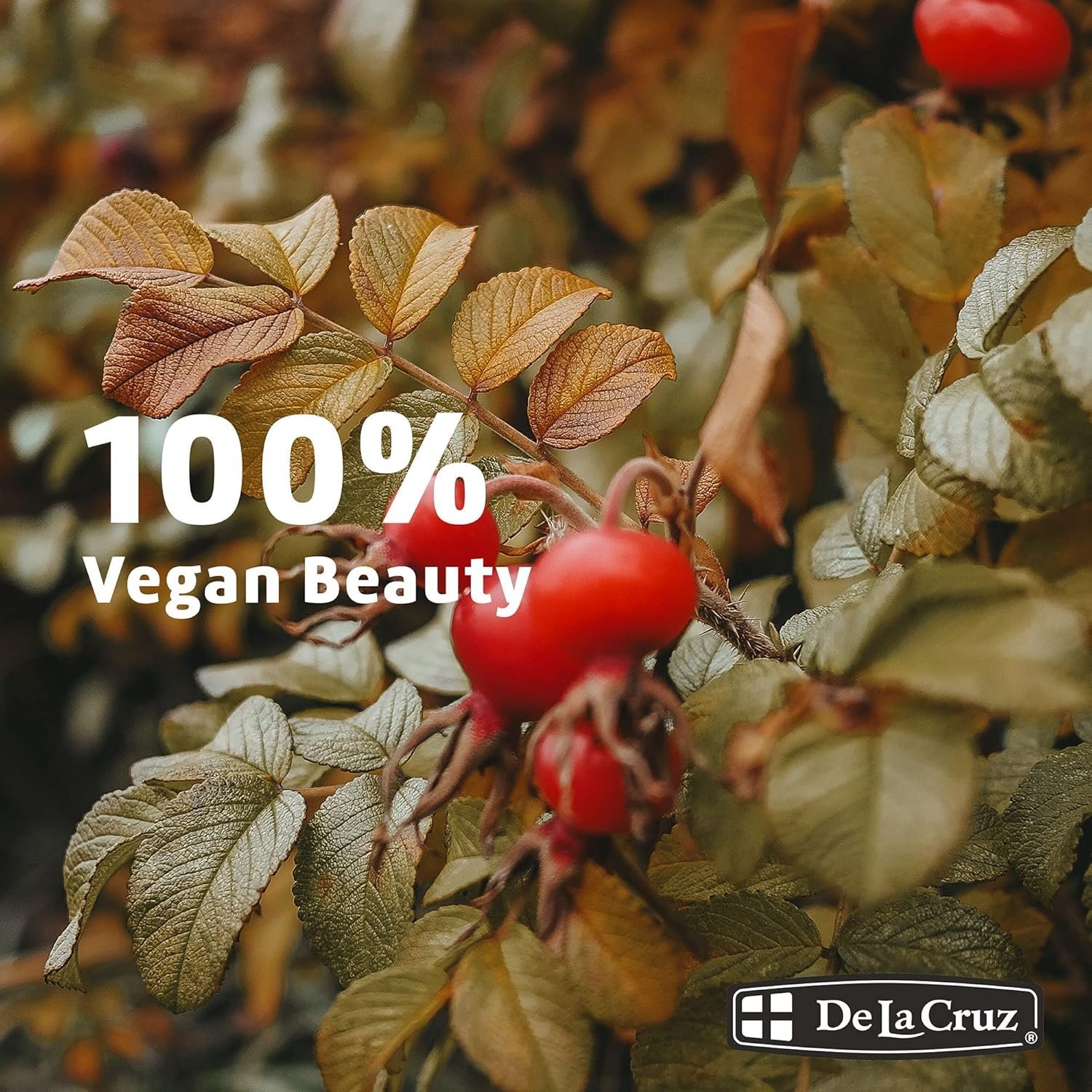 De La Cruz Pure Chilean Rosehip Oil, Cold Pressed, Facial Moisturizer, 1 FL. OZ. - Image 7