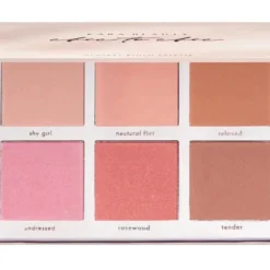 Kara Beauty Chic to Chic Blush Palette