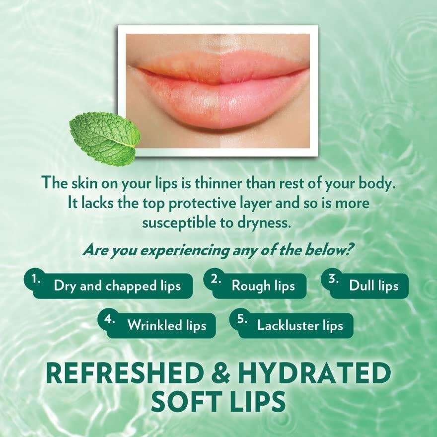 VASELINE CHAPSTICK (KOR) 4.8GM X 24 MINT - Image 4