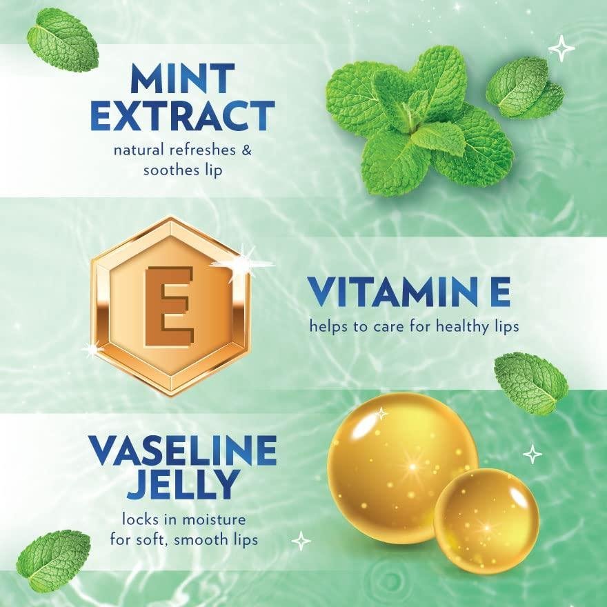 VASELINE CHAPSTICK (KOR) 4.8GM X 24 MINT - Image 5