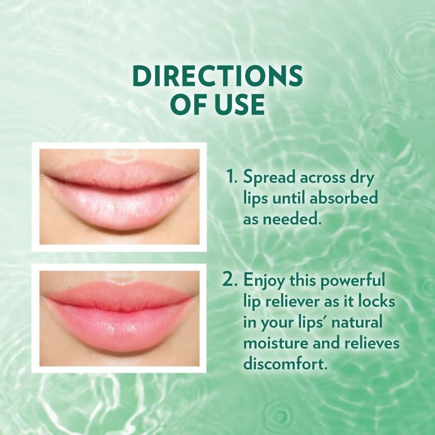 VASELINE CHAPSTICK (KOR) 4.8GM X 24 MINT - Image 7